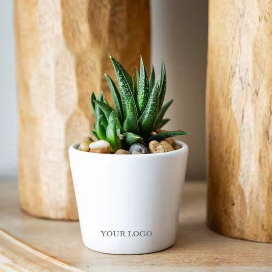 Ceramic Planter with Plant
