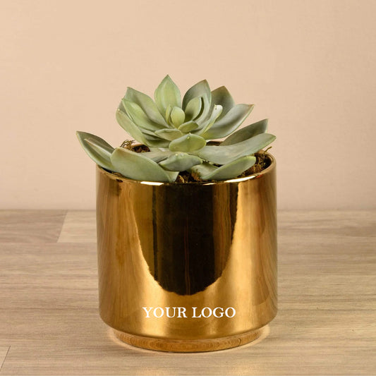 Gold Planter with Succulent Plant