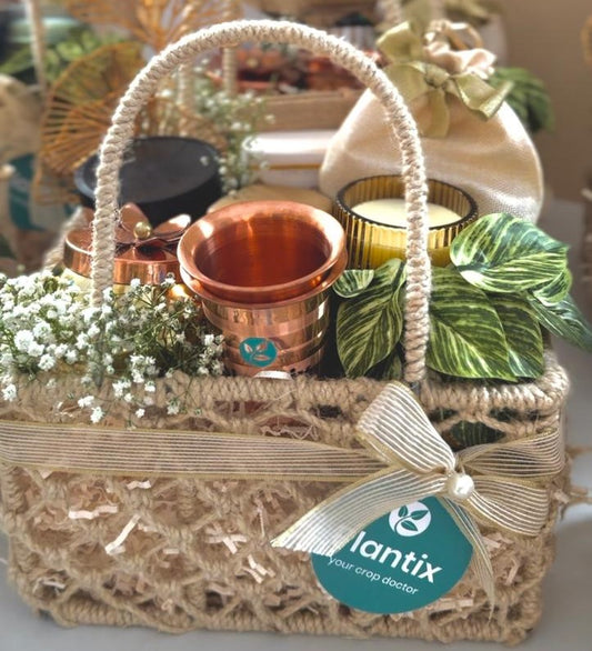 The Conscious Celebration Hamper