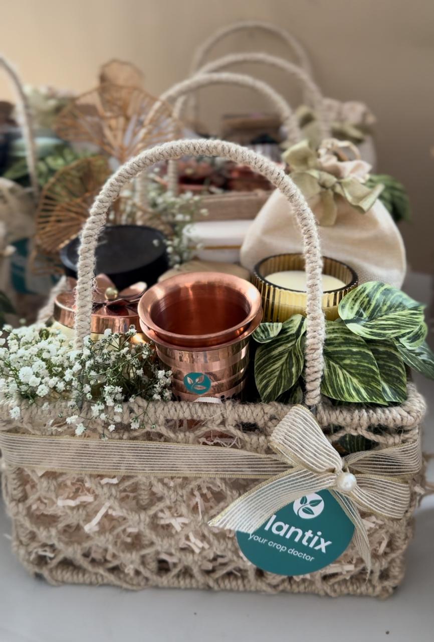 The Conscious Celebration Hamper