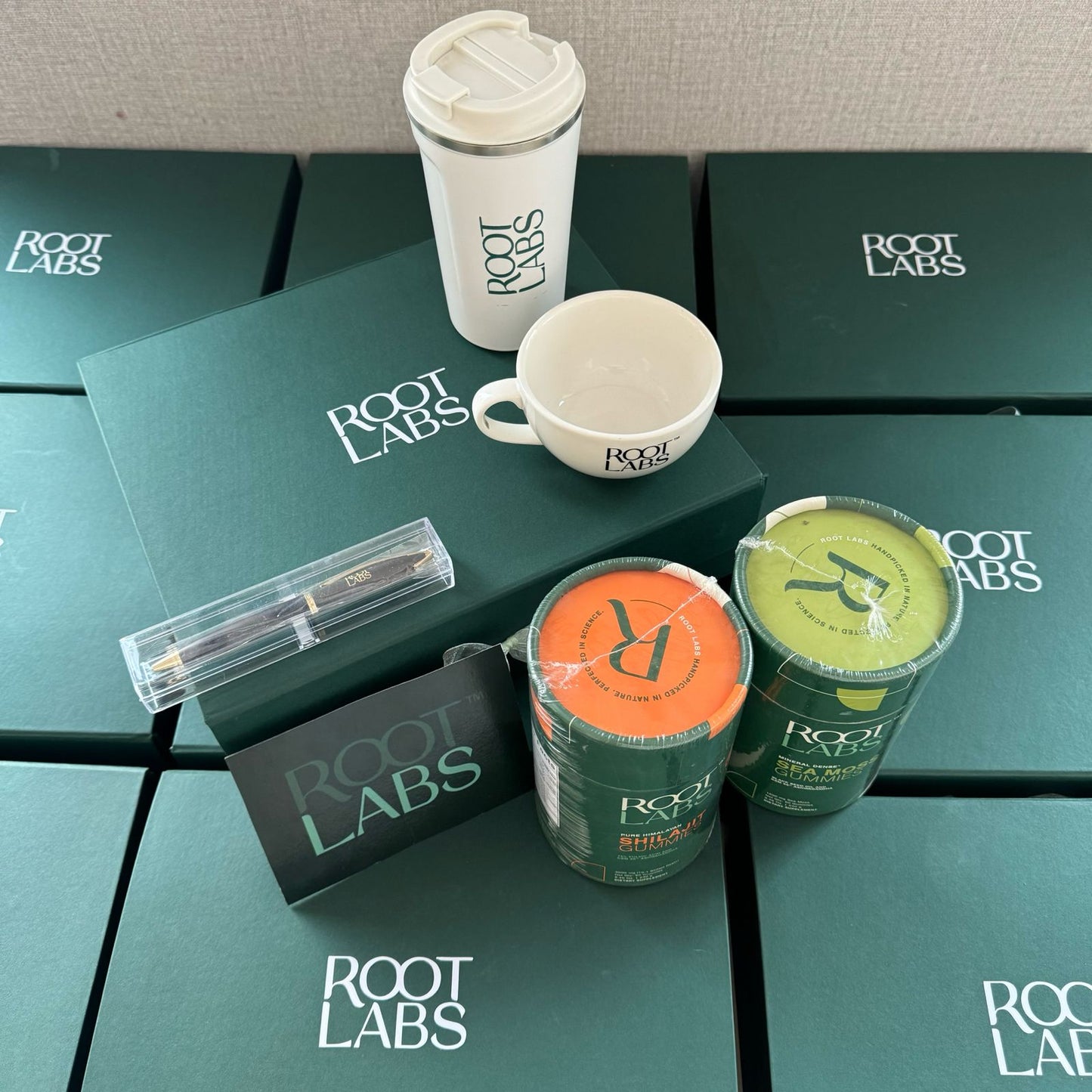 Influencer PR Kits for Root Labs