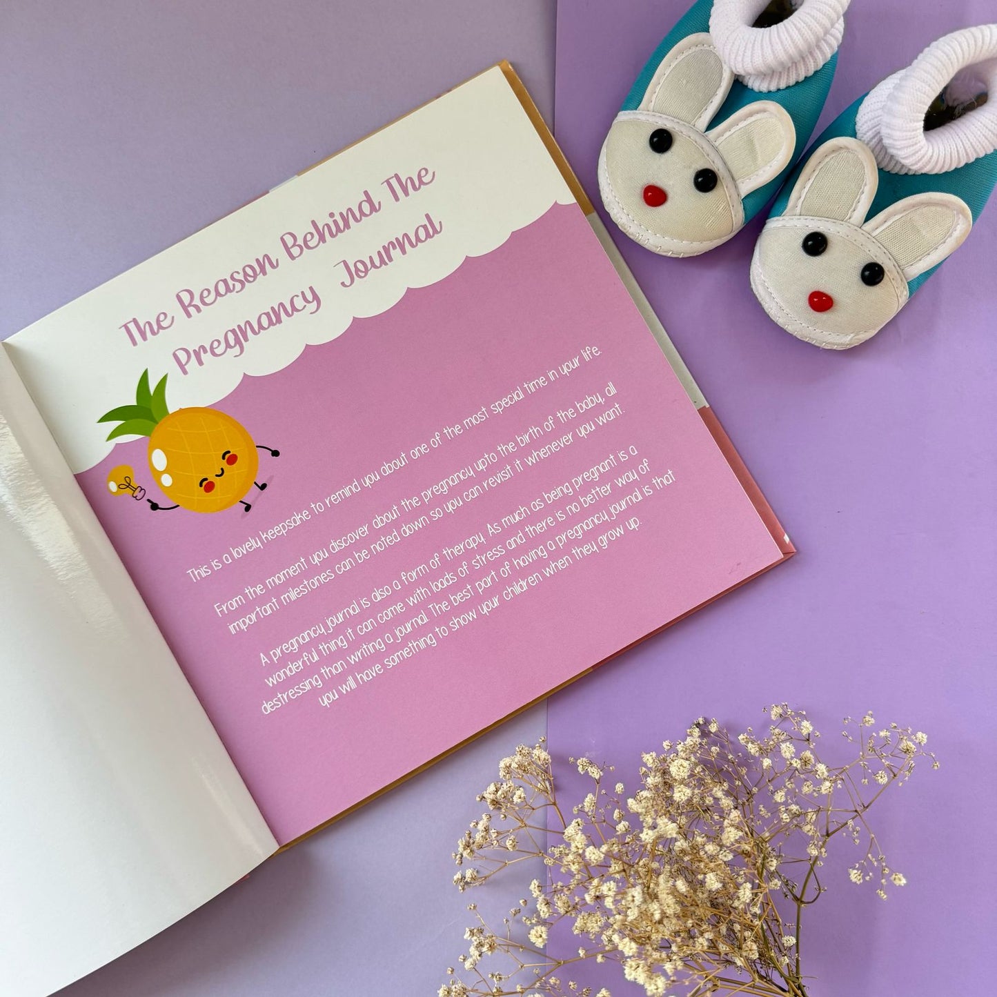 Pregnancy Record Journal