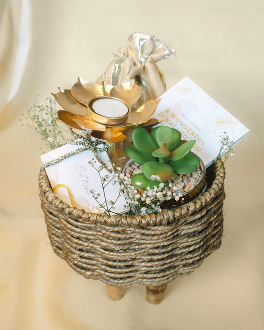 Festive Planter Hamper