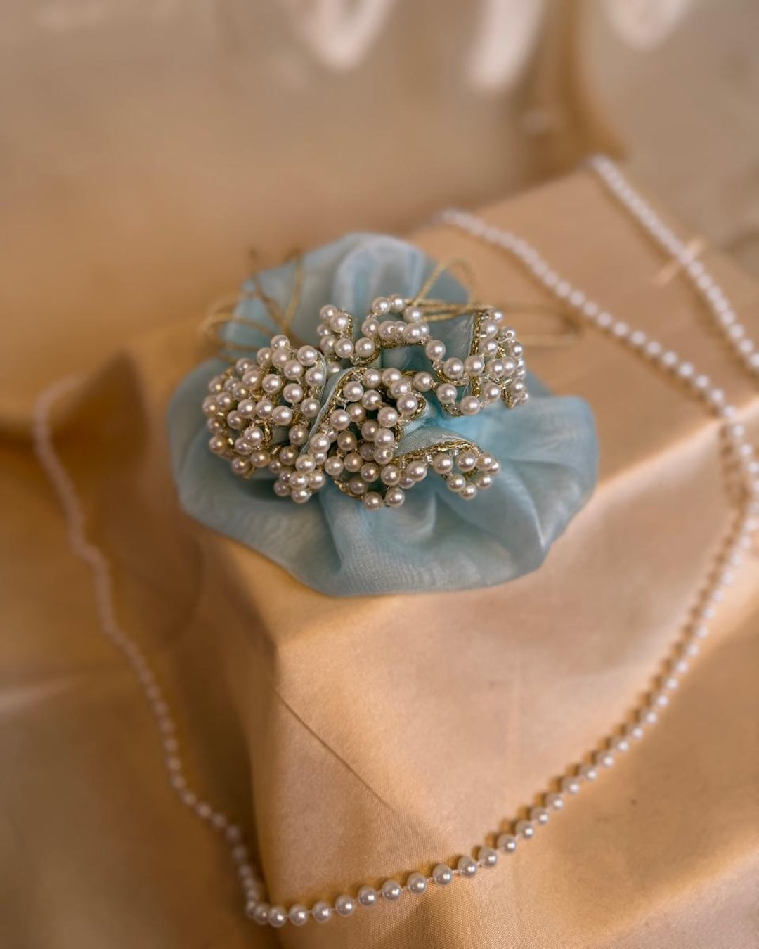 Organza Potli