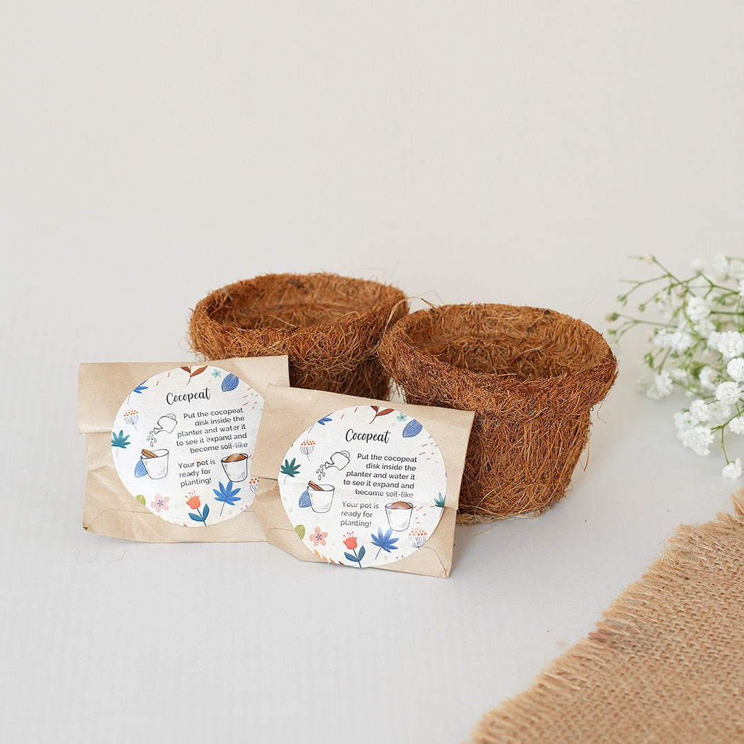 Eco-friendly Hamper